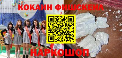 крисы Славгород