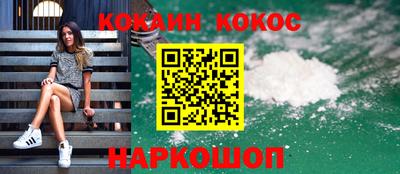 крисы Славгород