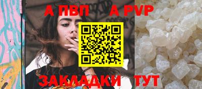 крисы Славгород