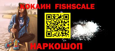 крисы Славгород