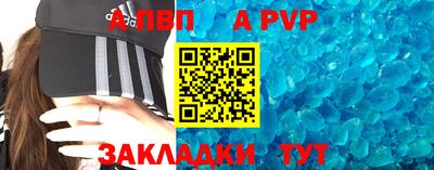 крисы Славгород