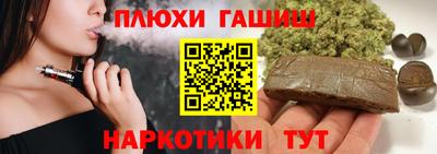 крисы Славгород