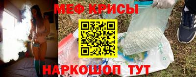 крисы Славгород