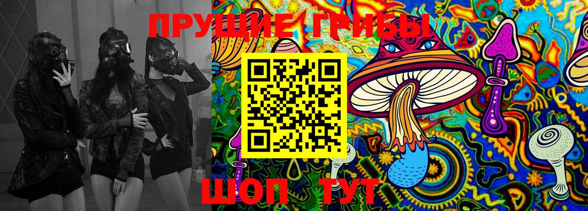 Псилоцибиновые грибы GOLDEN TEACHER Новоалександровск