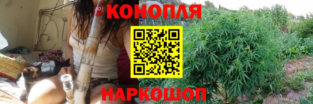Бошки Шишки LSD WEED Новоалександровск